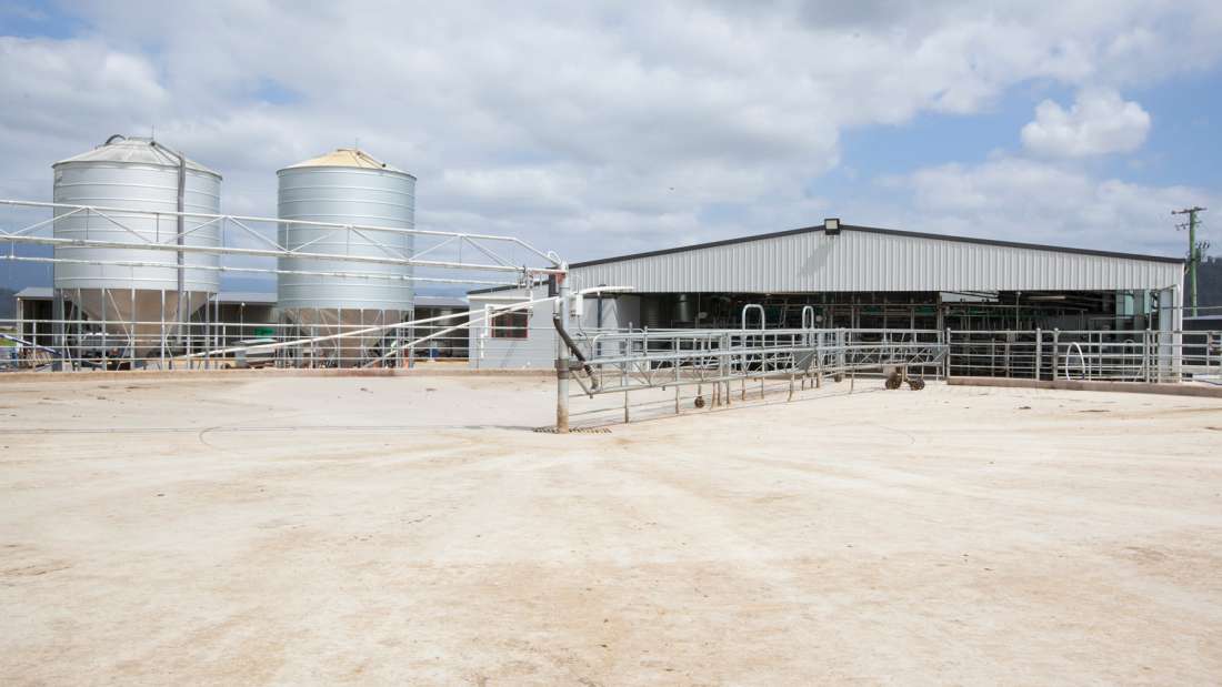 Dairy and Calf Rearing Facility