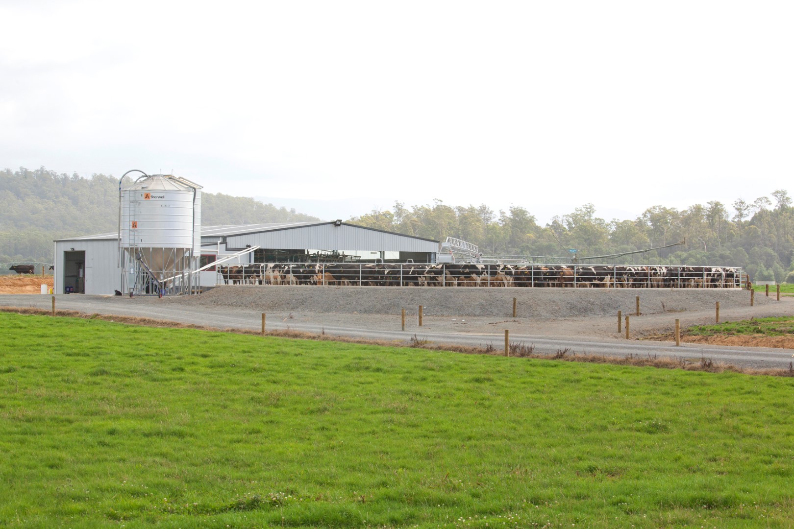 44_Bison dairy 2016 MOMENTO