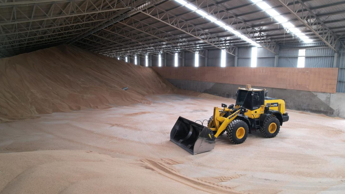 A close-up of a large pile of grain or fertiliser inside a Tasmanian agricultural storage shed, with a spiral conveyor system visible on the ceiling.