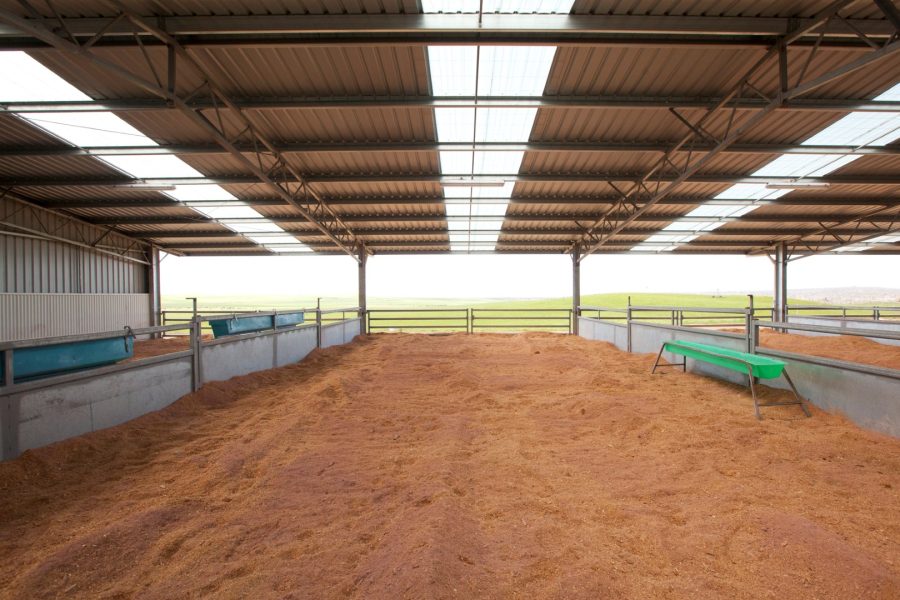 Clovelly Calf Shed_46