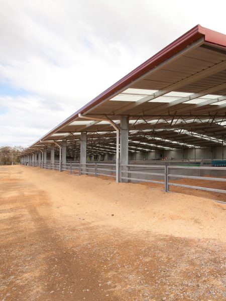 Clovelly Calf Shed_47