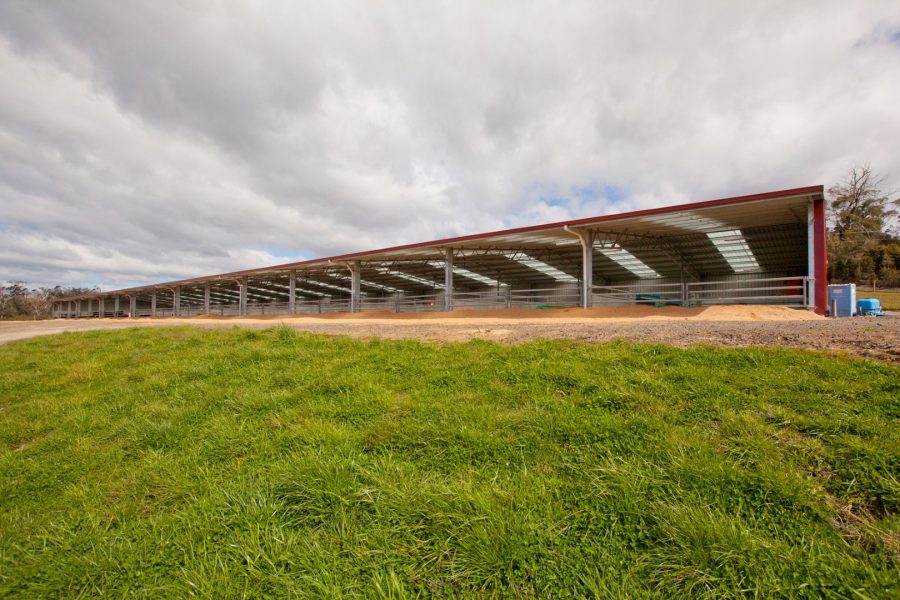 Clovelly Calf Shed_49